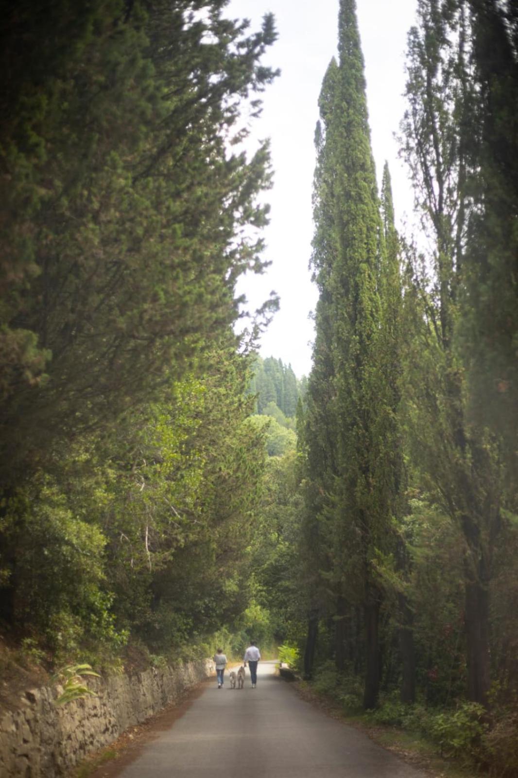 Agriturismo Tassinaia 폰타씨에베 외부 사진
