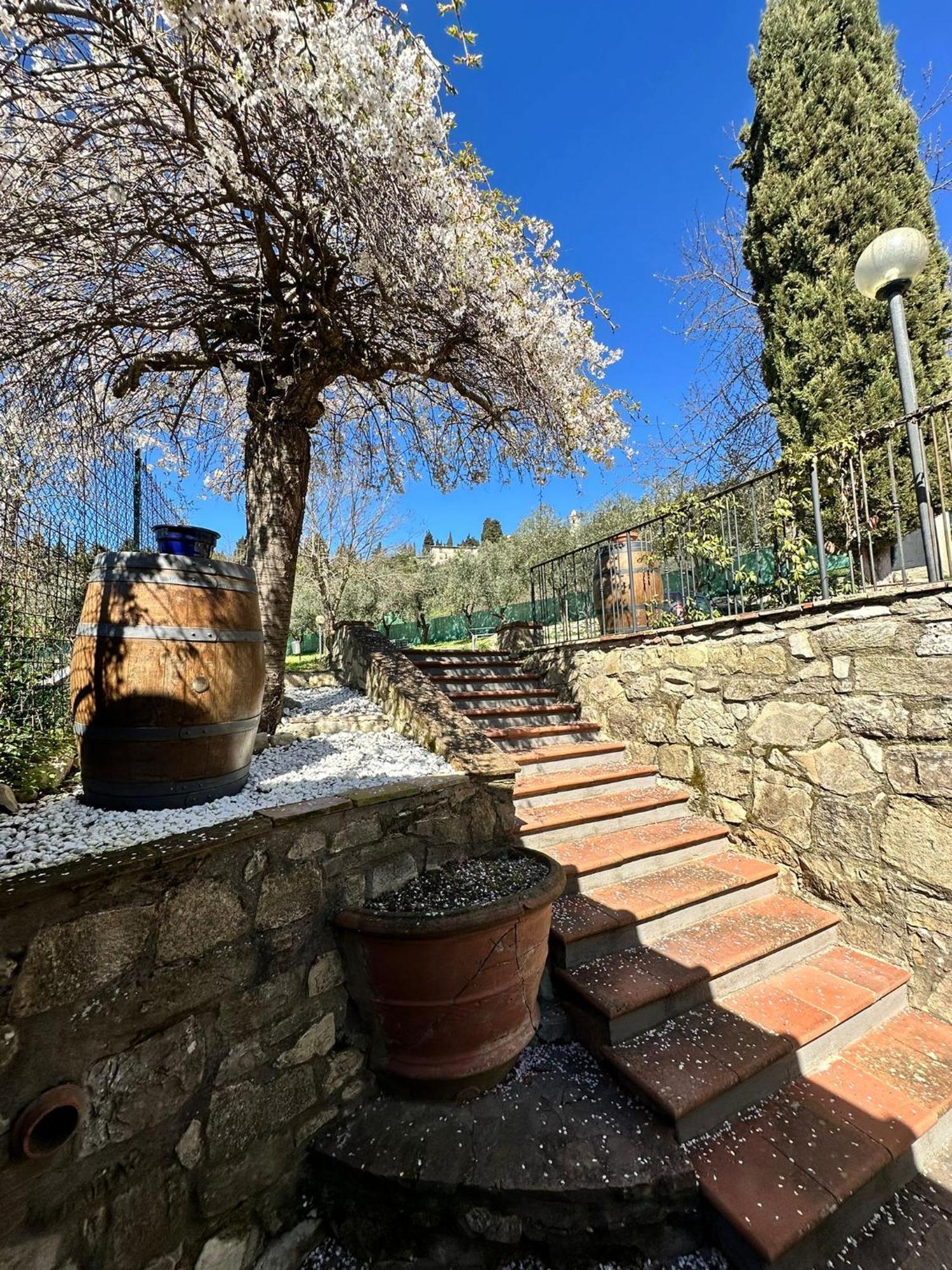 Agriturismo Tassinaia 폰타씨에베 외부 사진