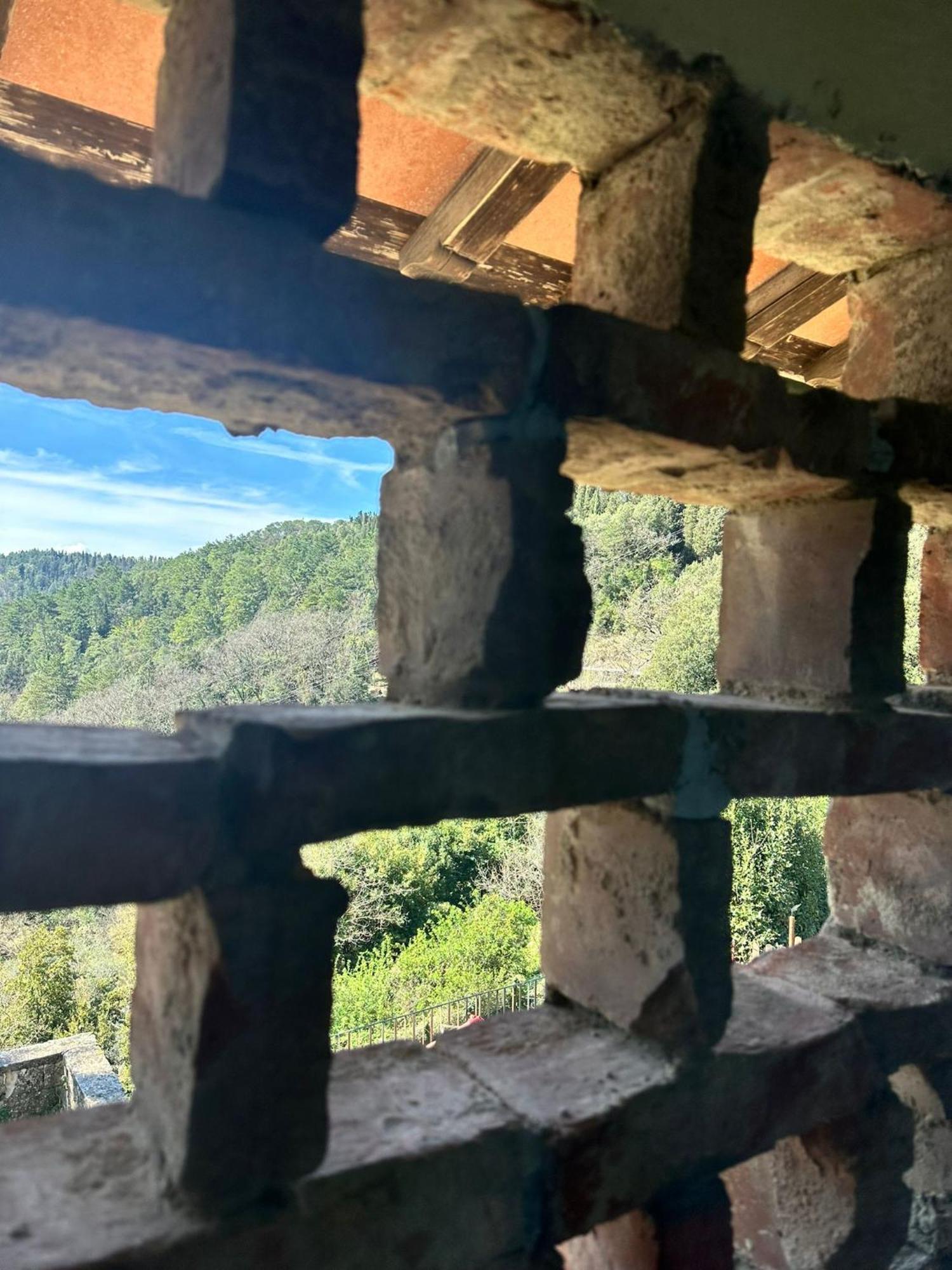 Agriturismo Tassinaia 폰타씨에베 외부 사진