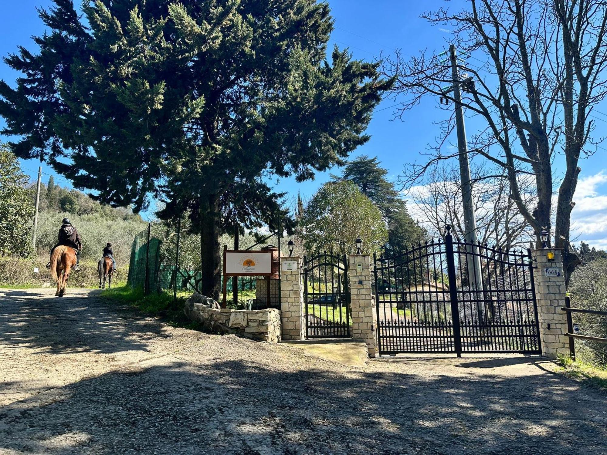 Agriturismo Tassinaia 폰타씨에베 외부 사진