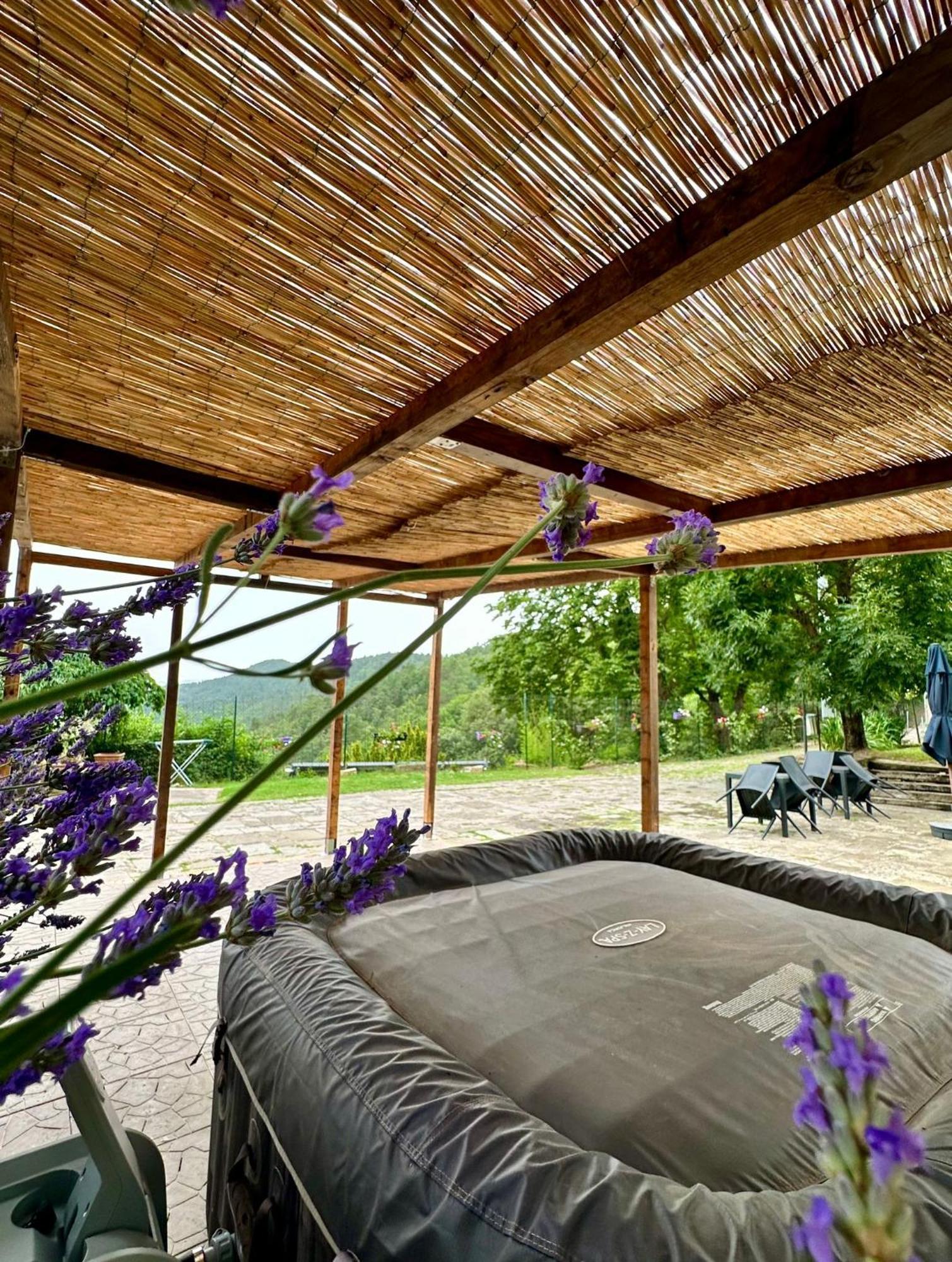 Agriturismo Tassinaia 폰타씨에베 외부 사진